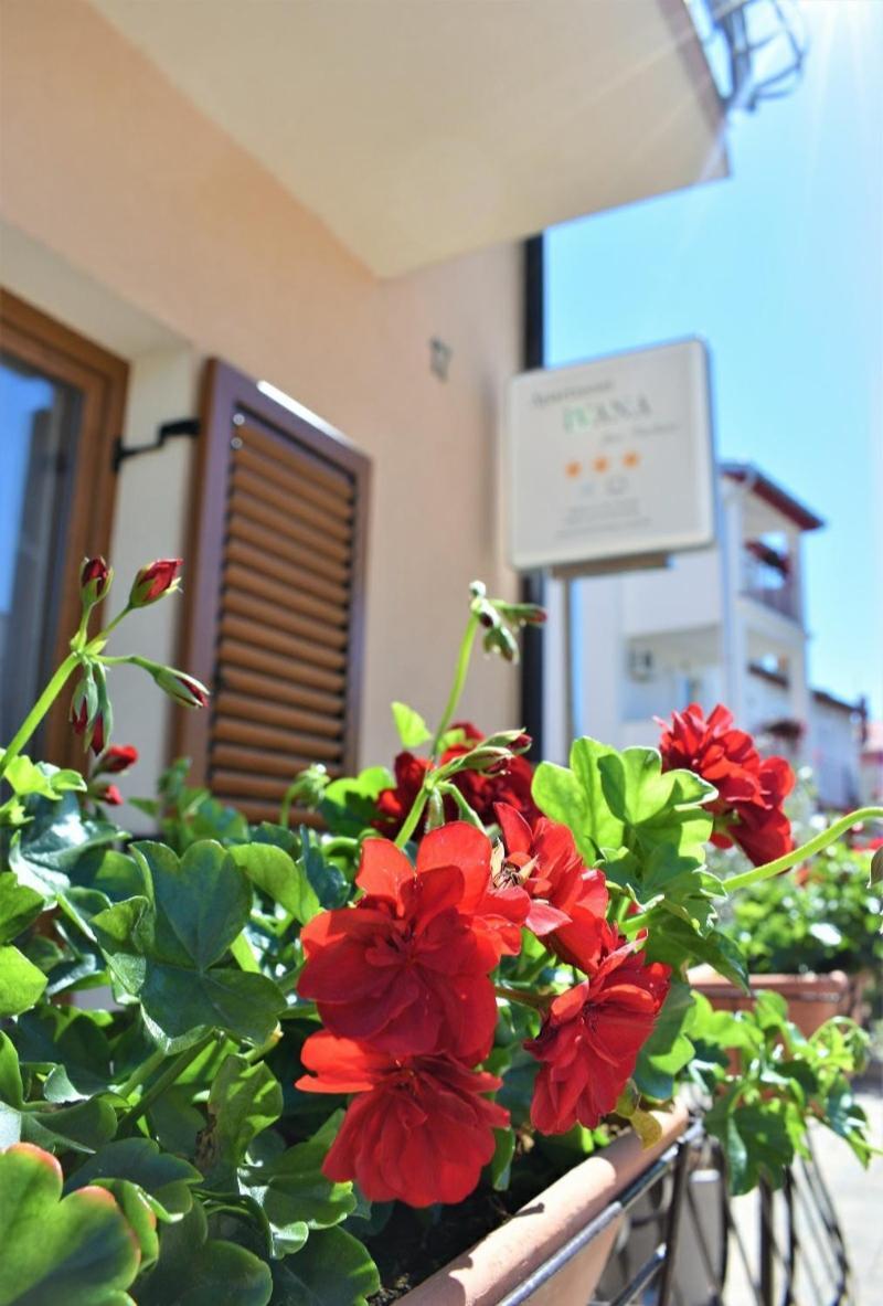 Apartments & Rooms Ivana Rovigno Camera foto